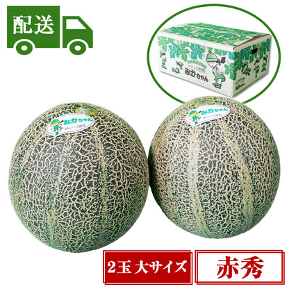 【配送】④赤秀アムスメロン【2玉入/大】