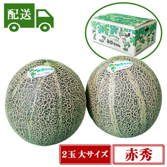 【配送】④赤秀アムスメロン【2玉入/大】