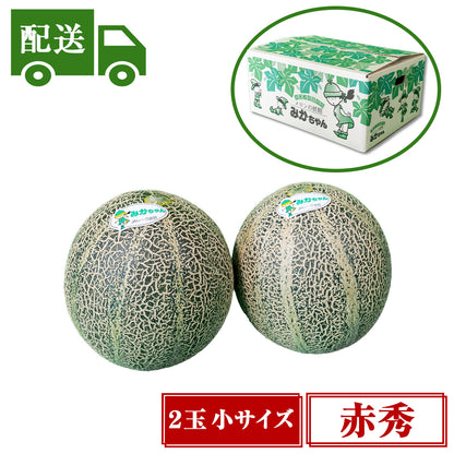 【配送】⑥赤秀アムスメロン【2玉入/小】