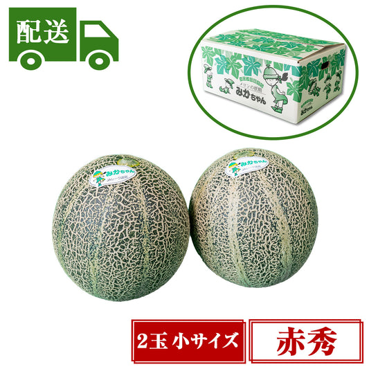 【配送】⑥赤秀アムスメロン【2玉入/小】