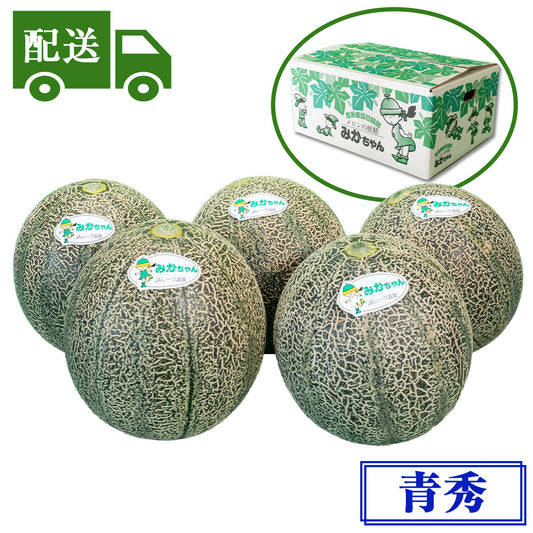 【配送】青秀アムスメロン【4～6玉入】