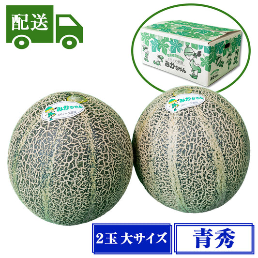 【配送】青秀アムスメロン【2玉入/大】