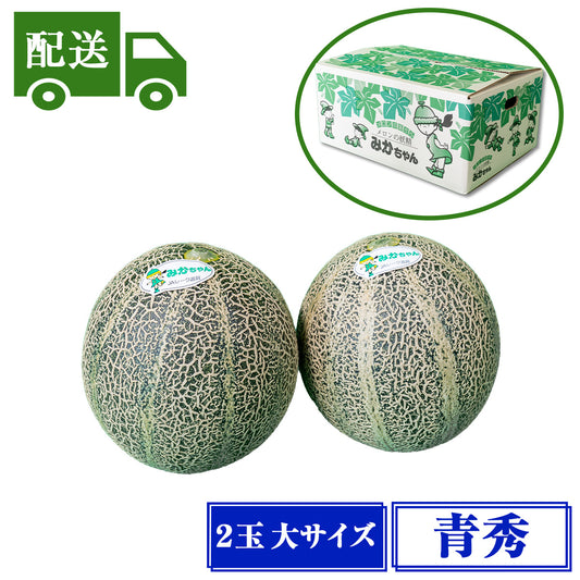 【配送】青秀アムスメロン【2玉入/小】