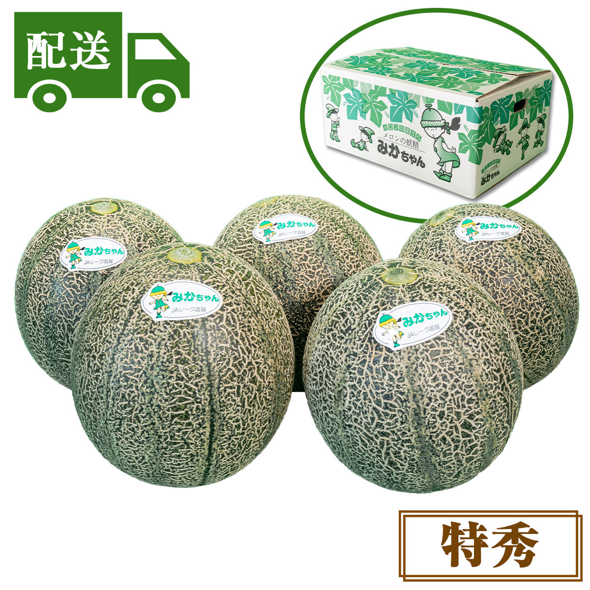 【配送】①特秀アムスメロン【4～6玉入】