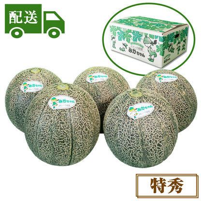 【配送】①特秀アムスメロン【4～6玉入】