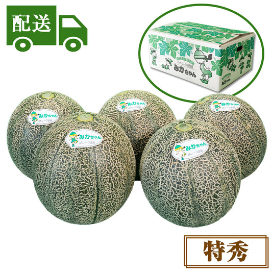 【配送】①特秀アムスメロン【4～6玉入】