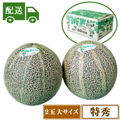 【配送】③特秀アムスメロン【2玉入/大】