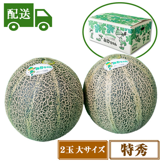 【配送】③特秀アムスメロン【2玉入/大】