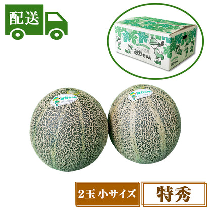 【配送】⑤特秀アムスメロン【2玉入/小】